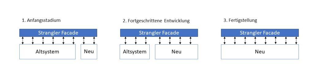 Blog-AK_Stadien von Strangler Fig Pattern