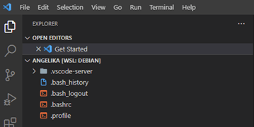 Vertrautes Filemanagement in Visual Studio Code